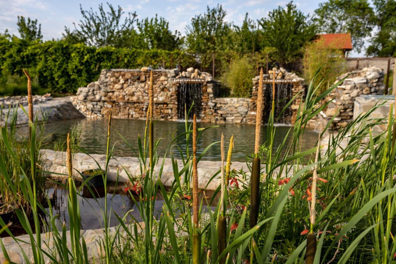 Country Spa Retreat Snagov Εξωτερικό φωτογραφία The River at the Living Prairie