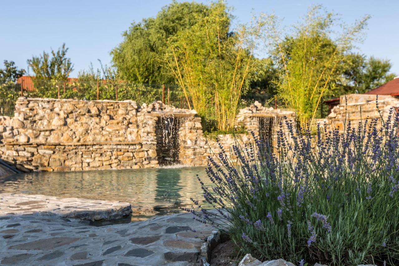 Country Spa Retreat Snagov Εξωτερικό φωτογραφία The fountain at the entrance of the park