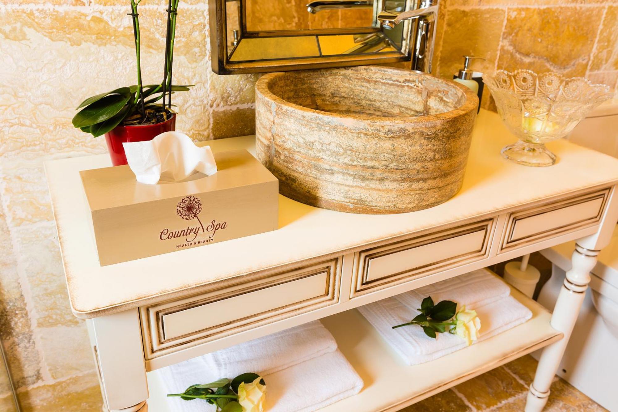 Country Spa Retreat Snagov Εξωτερικό φωτογραφία A stone sink