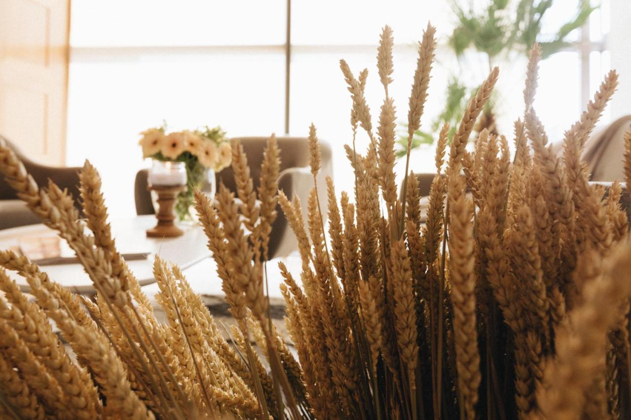 Country Spa Retreat Snagov Εξωτερικό φωτογραφία Wheat